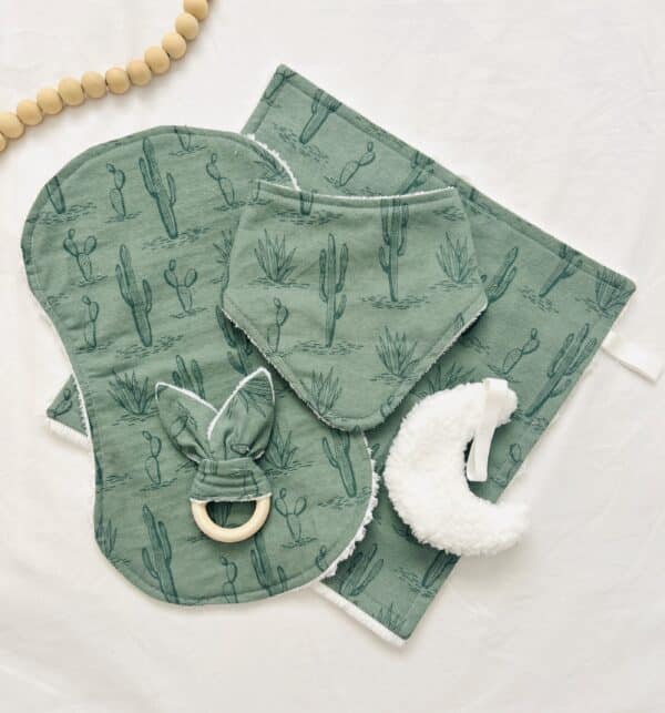 Green cactus set